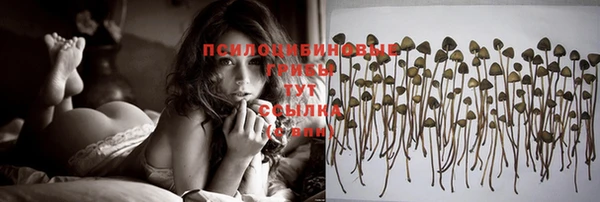 хмурый Беломорск