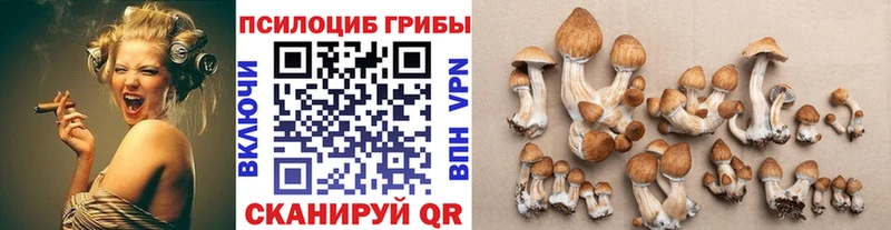 купить закладку  Верхнеуральск  Галлюциногенные грибы Cubensis 